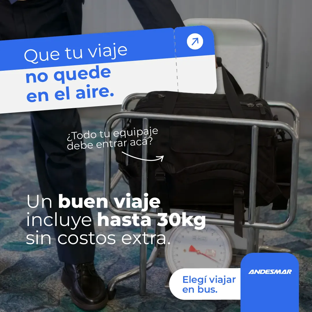 Pieza gráfica de Andesmar